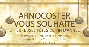 immobilier rennes agence immobiliere rennes